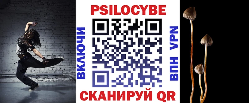 где купить наркоту Новоульяновск Галлюциногенные грибы мицелий